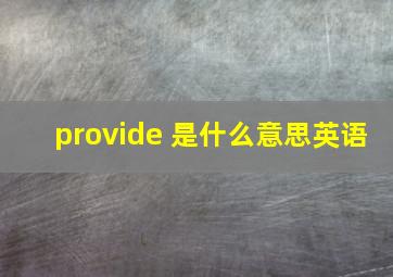 provide 是什么意思英语